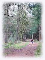 wandelen
